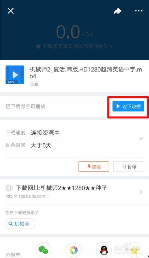网红吃瓜迅雷下载资源,迅雷下载资源大揭秘！