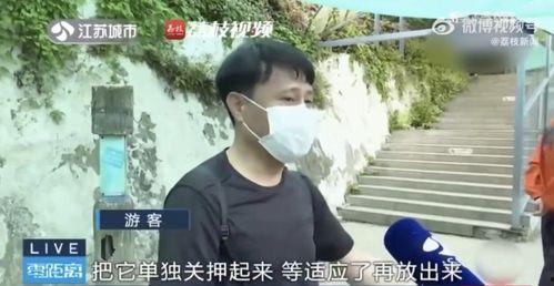 网红吃瓜摸头,揭秘娱乐圈幕后故事